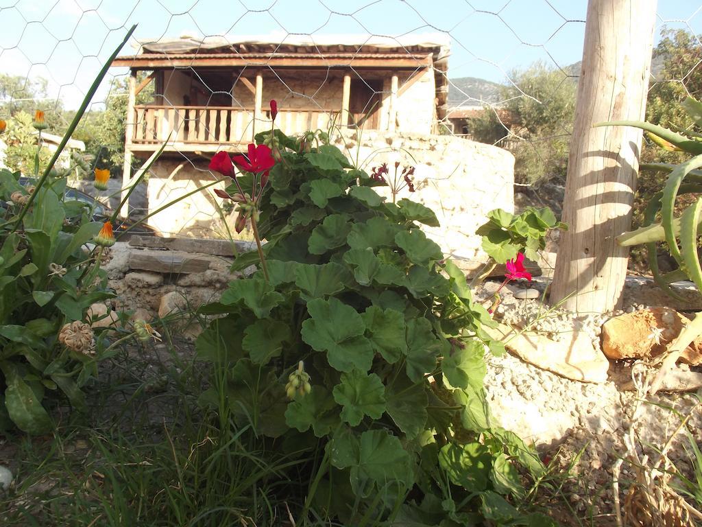 Beymelek Tas Evler Guest House Demre Exterior photo